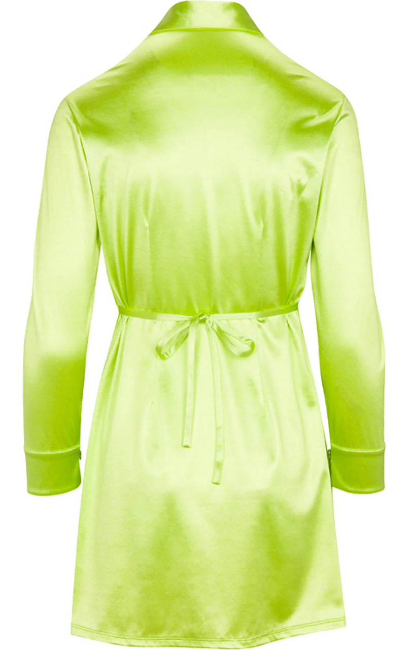 Cher in Mountain Dew - Image 10